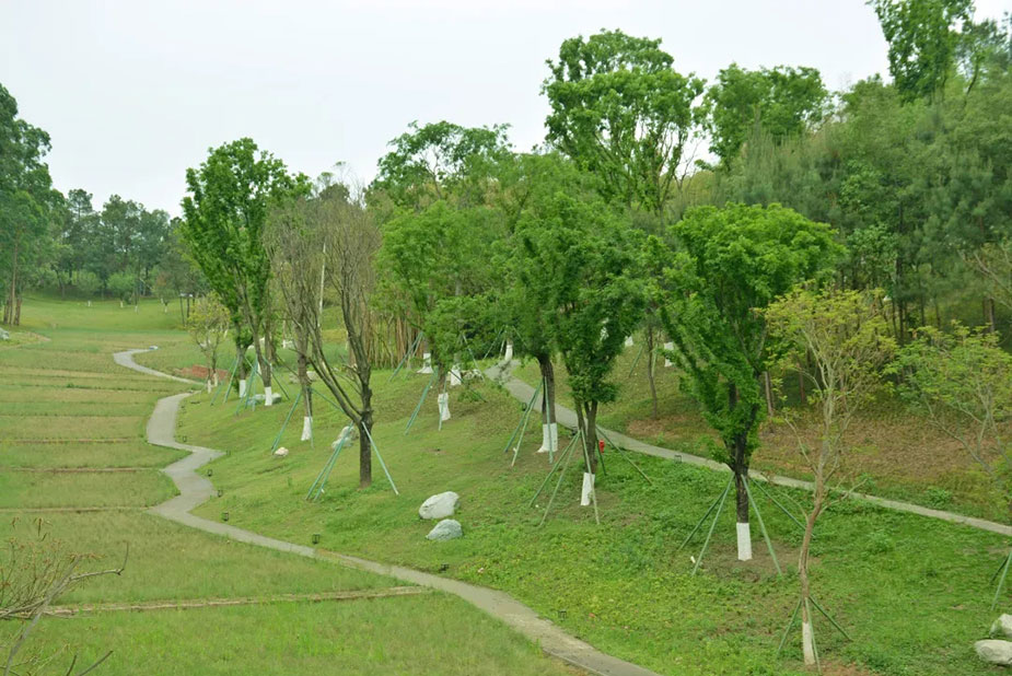 四川中易美園環(huán)境藝術(shù)工程有限公司